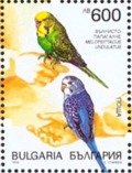 Bugaria, 1999