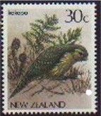 Strigops habroptilus (kakapo), 1986