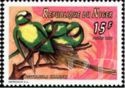 Psittacula krameri (aleksandretta obrona), 1997