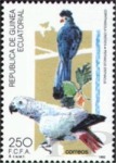 Psittacus erithacus (ako), 1992