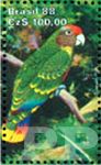 Amazona brasiliensis (amazonka pomiennosterna), 1988