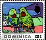 Amazona arausiaca (amazonka dominikaska), 1969