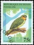 Strigops habroptilus (kakapo), 1996