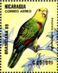 Amazona oratrix (amazonka togarda), 1989