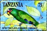 Amazona albifrons (amazonka biaoczelna), 1991
