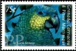 Amazona versicolor (amazonka modrogowa), 2000