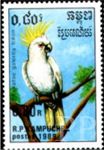 Cacatua galerita (kakadu toczuba), 1989