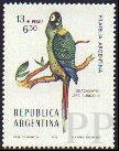 Propyrrhura auricollis (ara toszyja), 1976