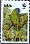Amazona versicolor (amazonka modrogowa), 1987
