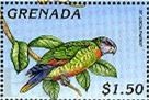 Amazona versicolor (amazonka modrogowa), 1996